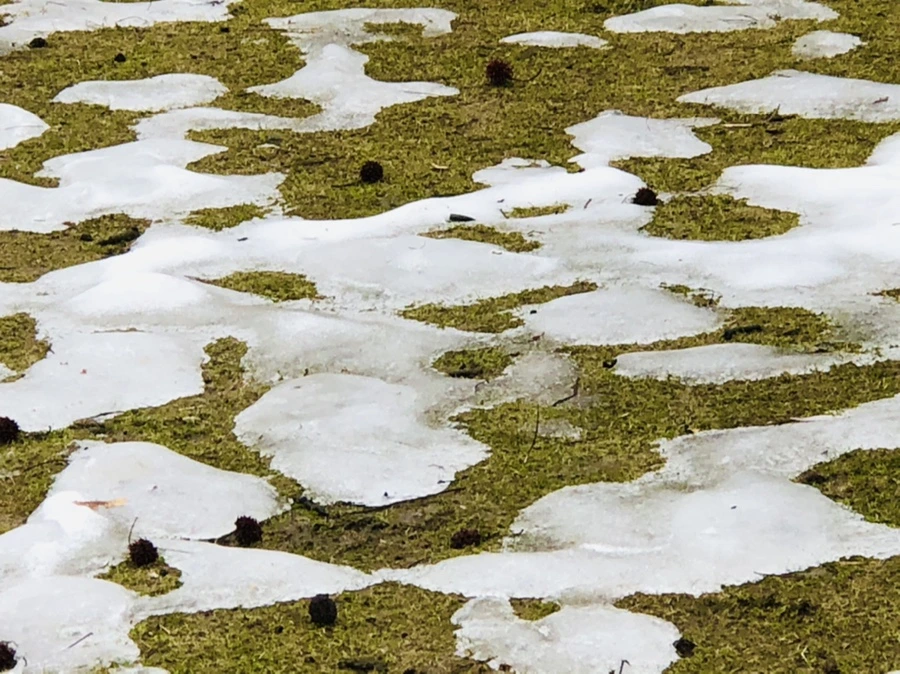 IMG_6308.jpg?type=w966