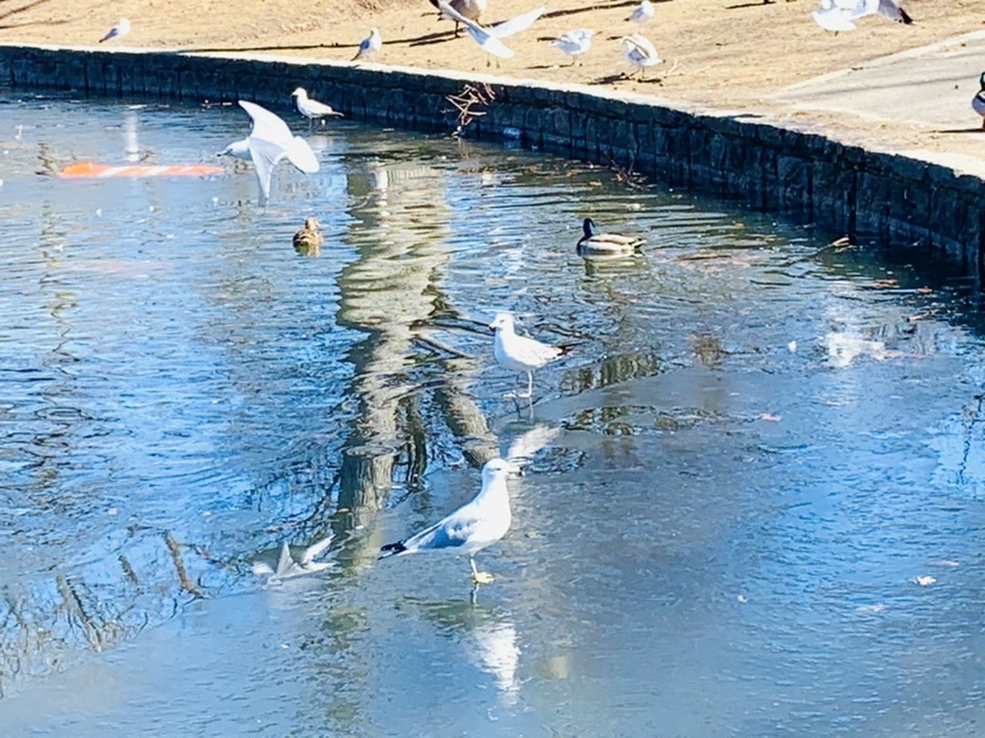 IMG_8293.jpg?type=w966