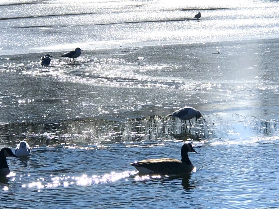 IMG_6859.jpg?type=w966