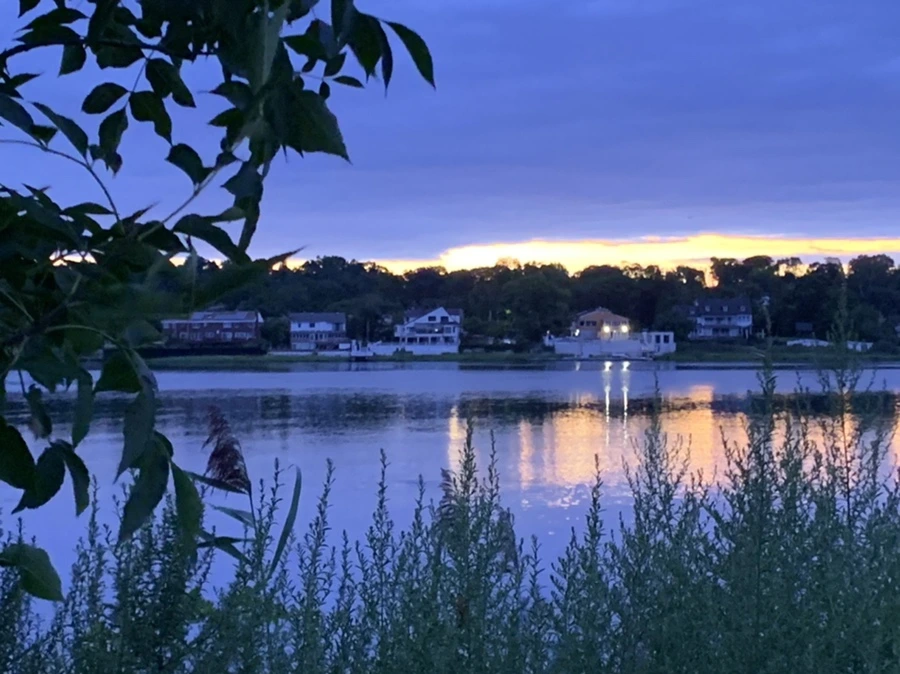 IMG_2268.jpg?type=w966