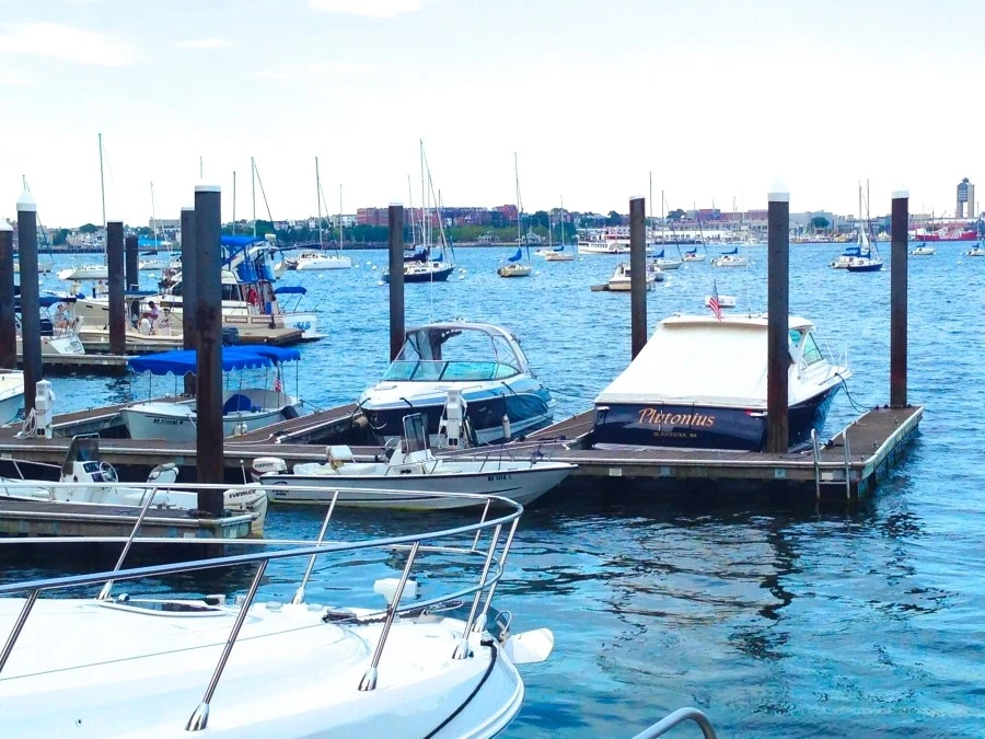 IMG_0659.JPG?type=w1