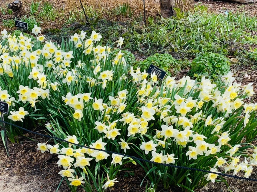 IMG_6543.jpg?type=w966