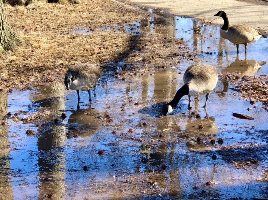 IMG_4990.jpg?type=w966