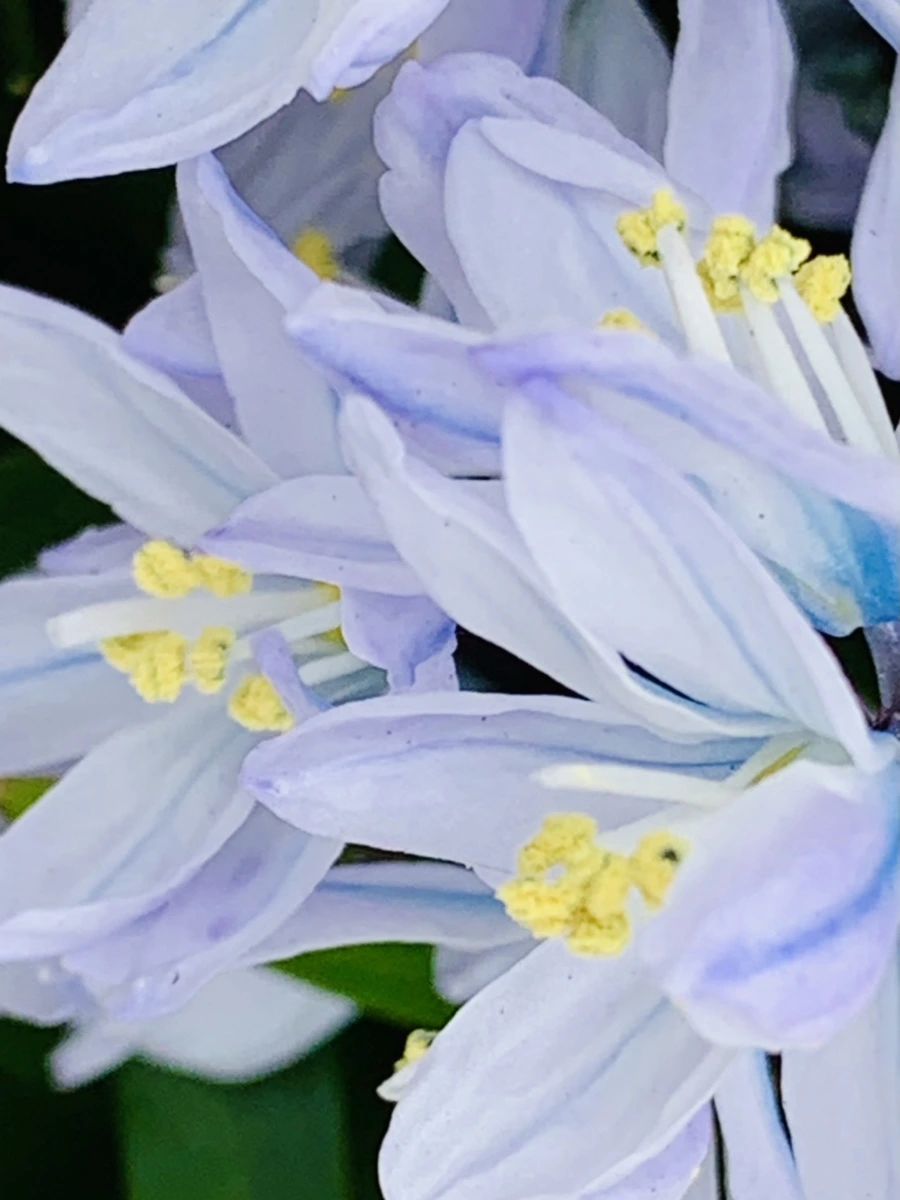 IMG_3536.jpg?type=w966