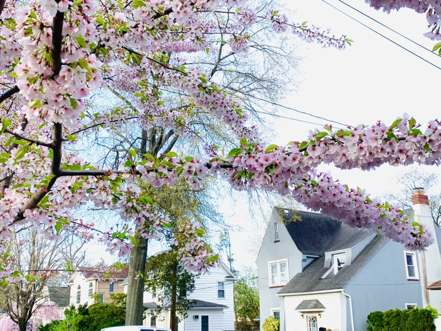 IMG_3168.jpg?type=w966