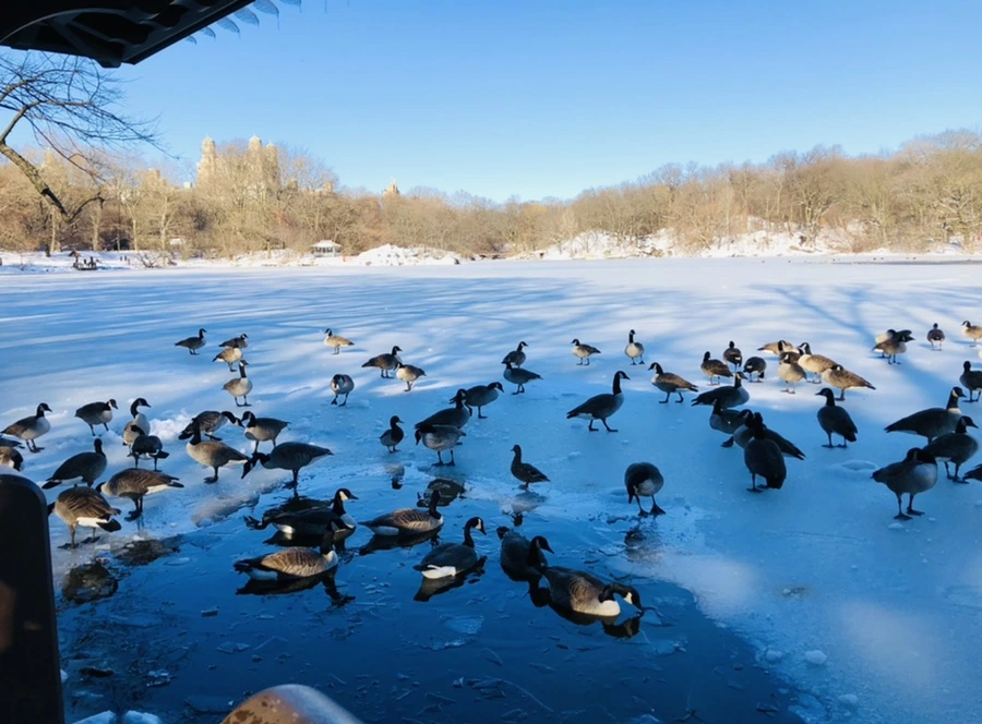 IMG_9918.jpg?type=w966