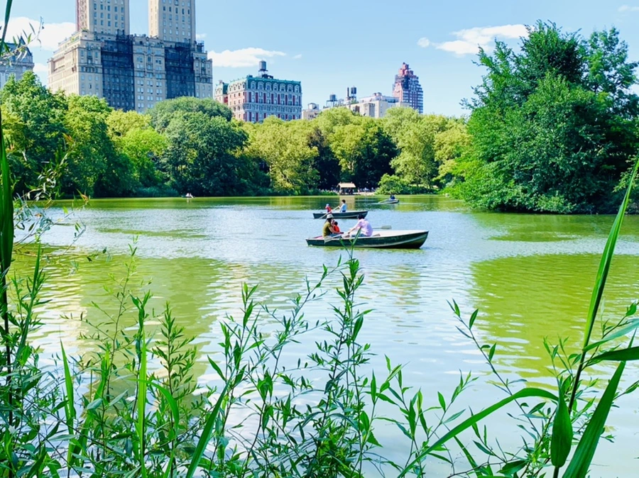 IMG_4474.jpg?type=w966