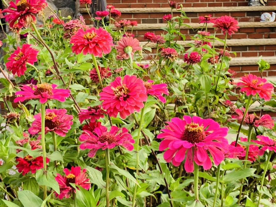 IMG_6990.jpg?type=w966