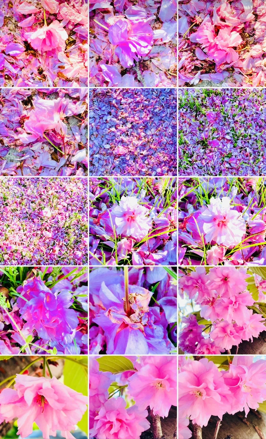 IMG_6060.jpg?type=w966