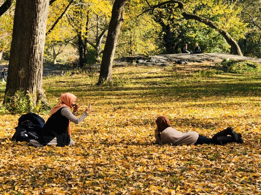 IMG_1779.jpg?type=w966