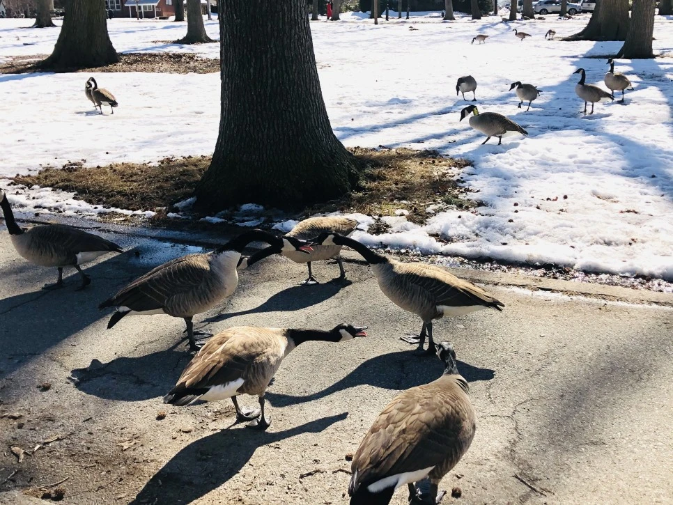 IMG_4576.jpg?type=w966