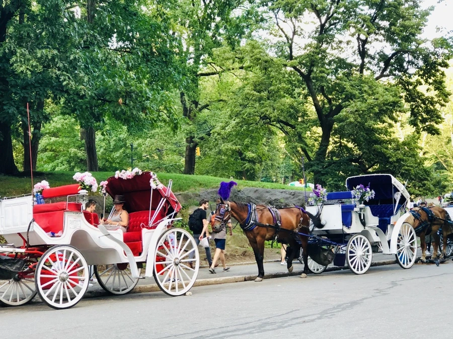 IMG_8278.jpg?type=w966