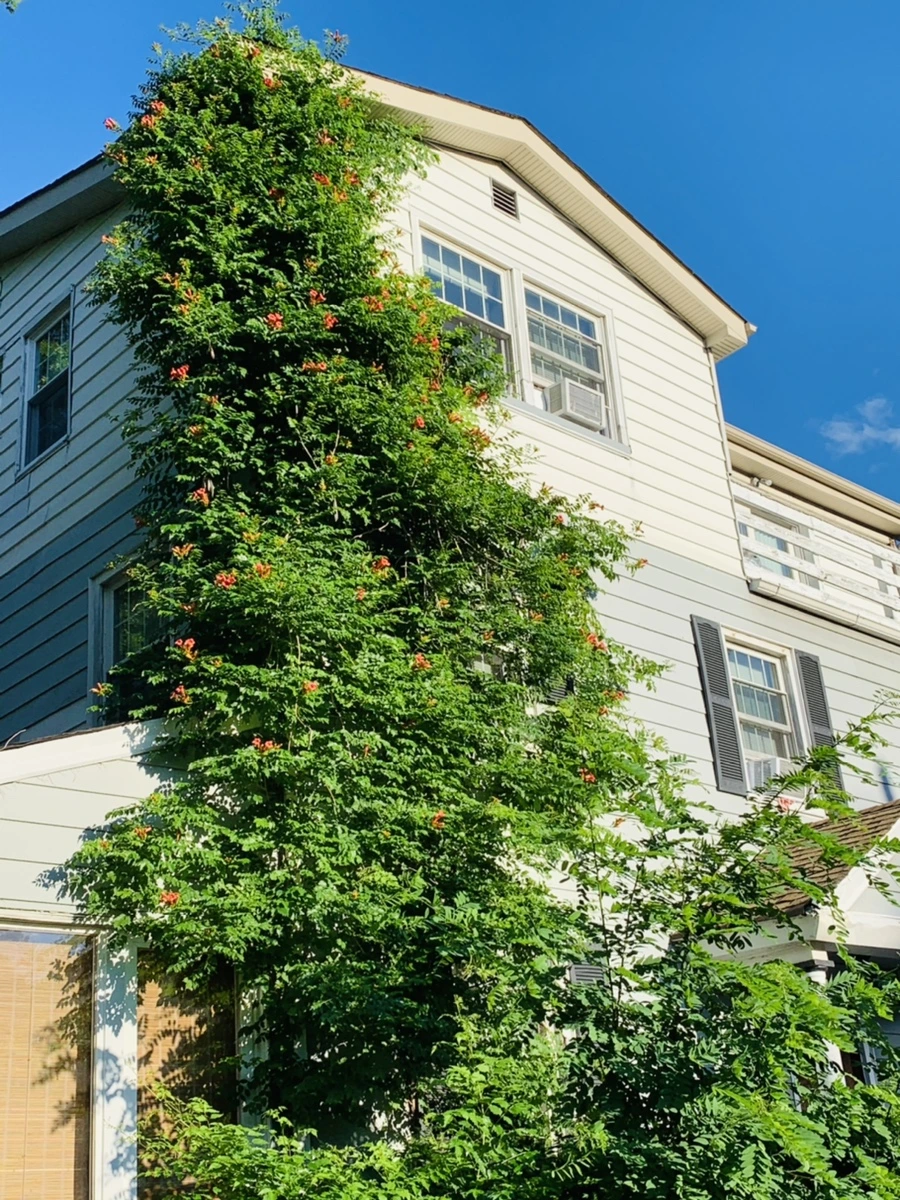 IMG_5197.jpg?type=w966