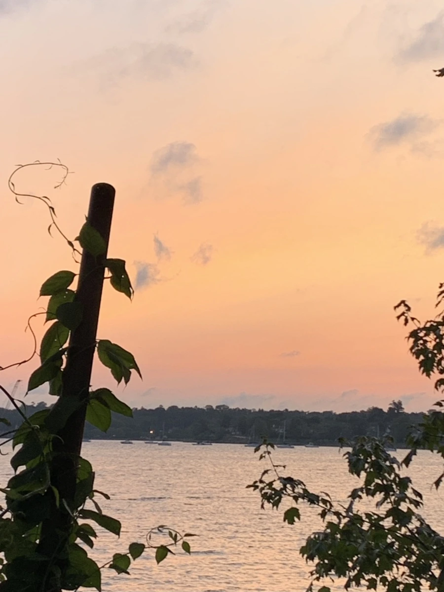 IMG_5414.jpg?type=w966