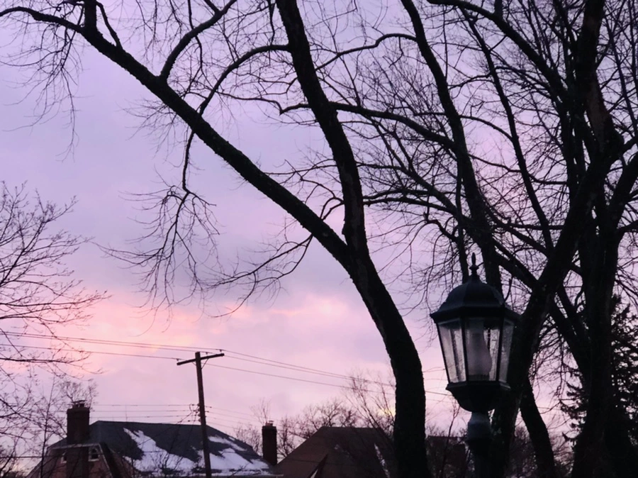 IMG_4305.jpg?type=w966