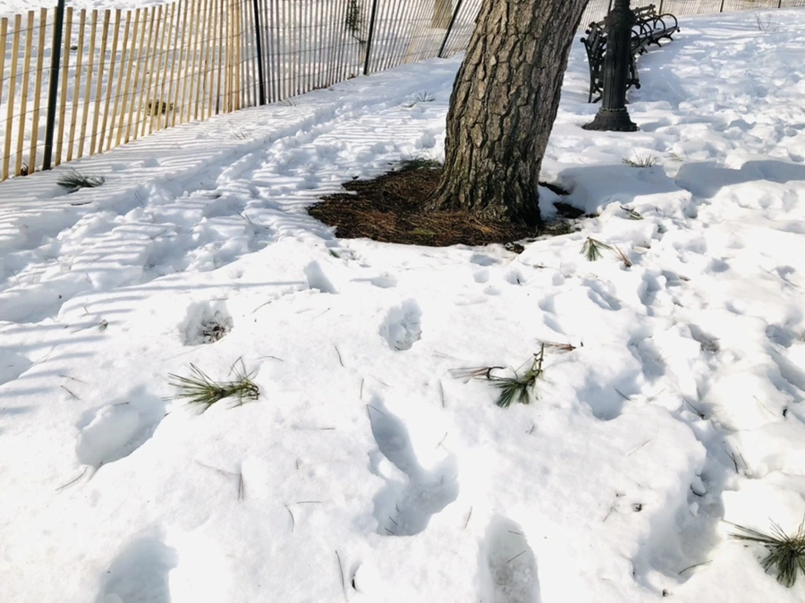 IMG_0137.jpg?type=w966