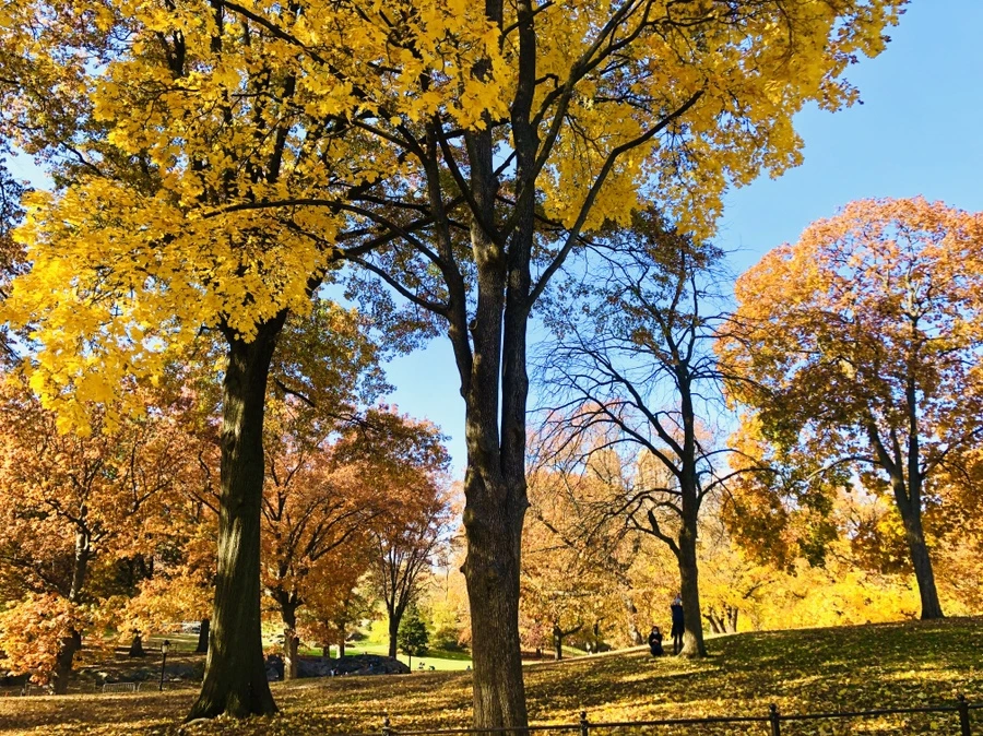 IMG_4320.jpg?type=w966