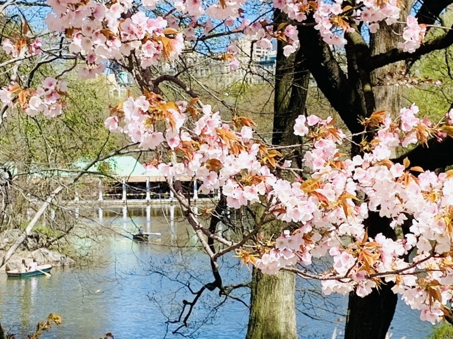 nhWXEeRc_fuG17RuyQOvqwwBBbQ