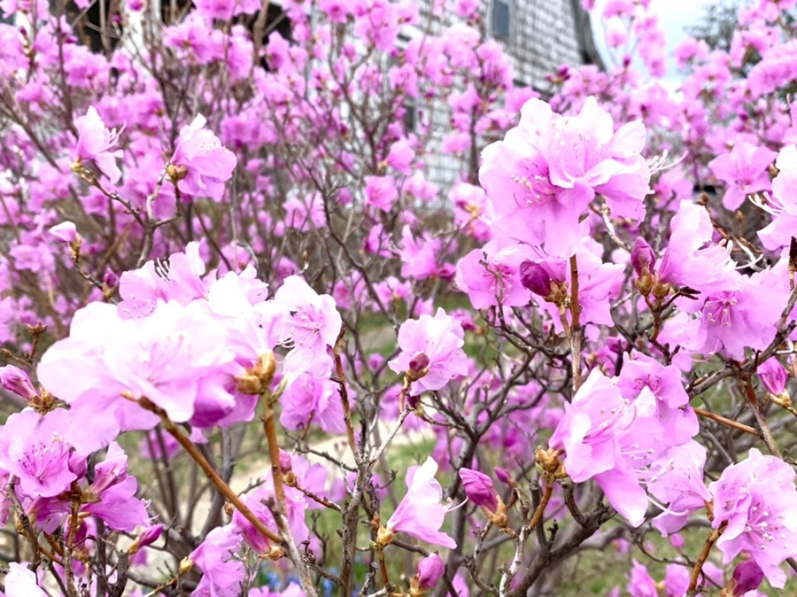 IMG_5935.jpg?type=w966