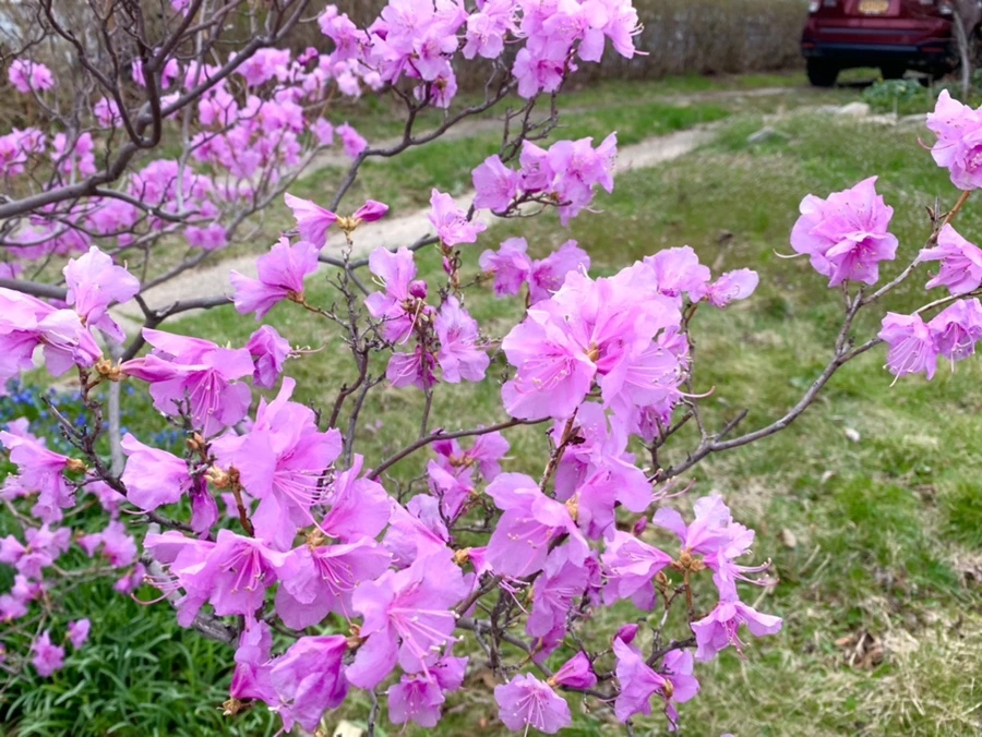 IMG_6743.jpg?type=w966