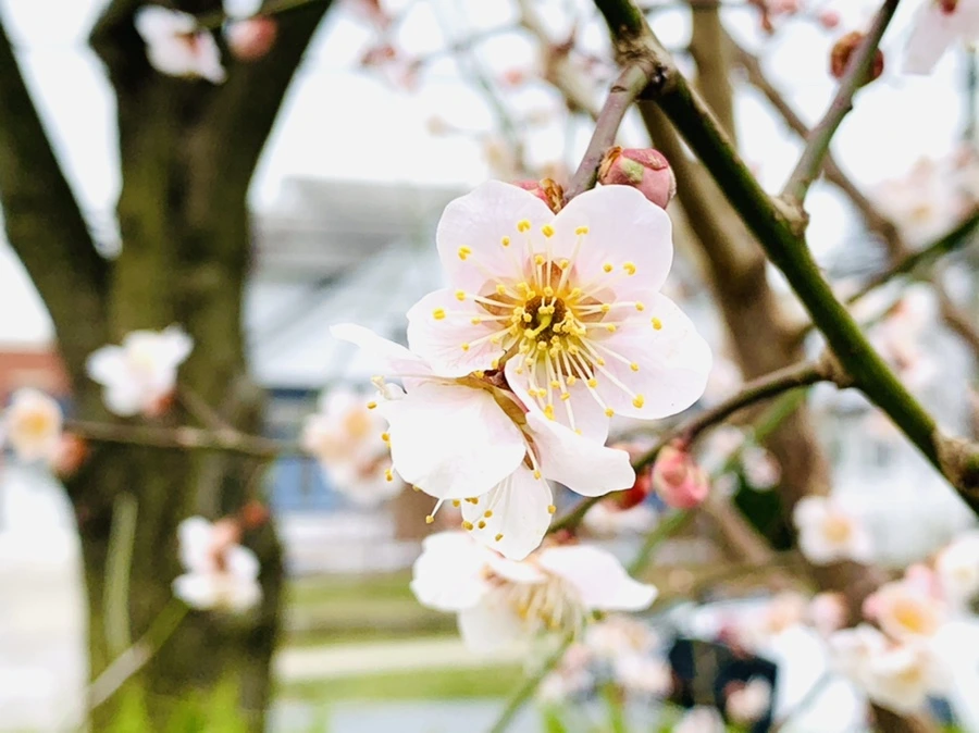 IMG_1691.jpg?type=w966