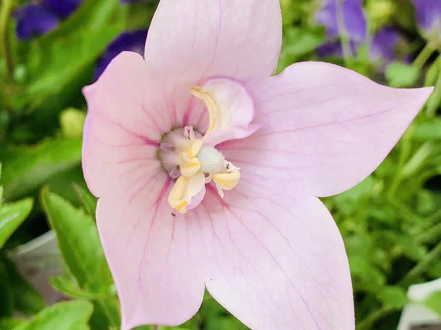 IMG_3331.jpg?type=w966