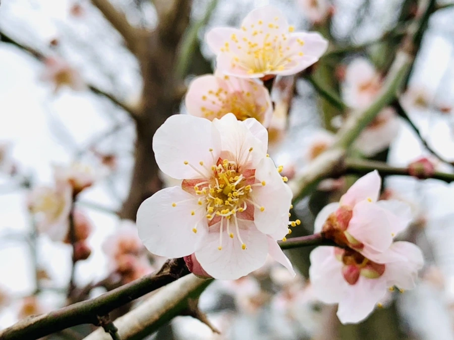 IMG_1702.jpg?type=w966