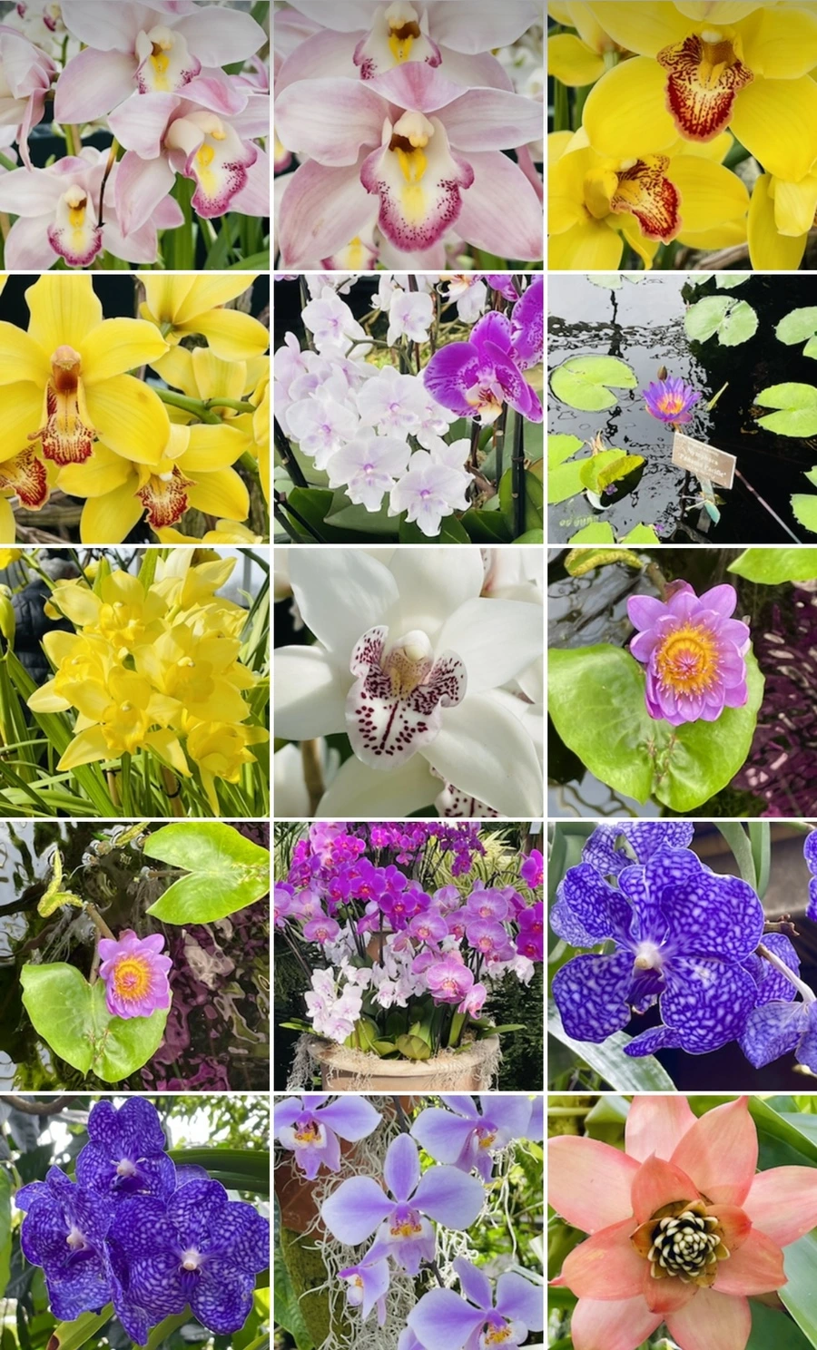 IMG_4694.jpg?type=w966