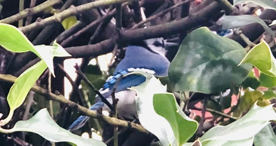 IMG_6341.jpg?type=w966