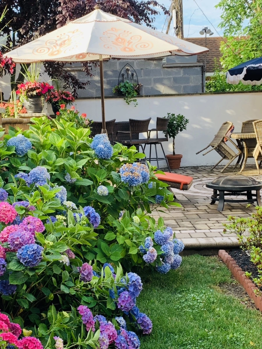 IMG_8943.jpg?type=w966