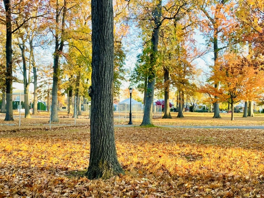 IMG_4087.jpg?type=w966