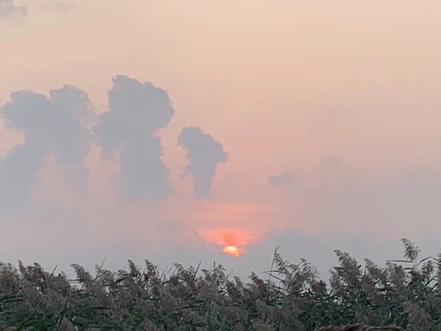 IMG_1062.jpg?type=w966