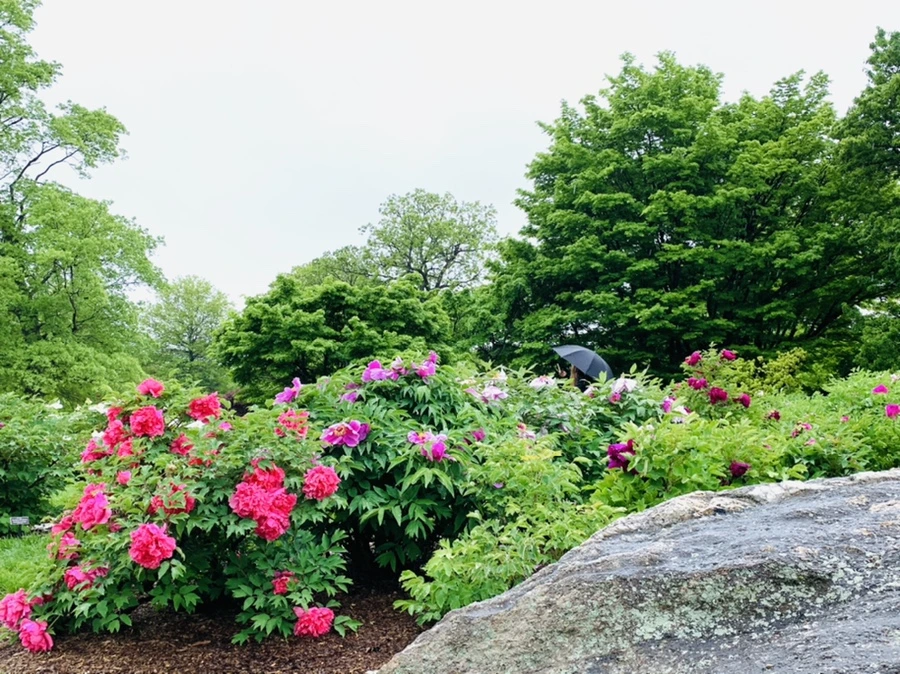 IMG_9966.jpg?type=w966