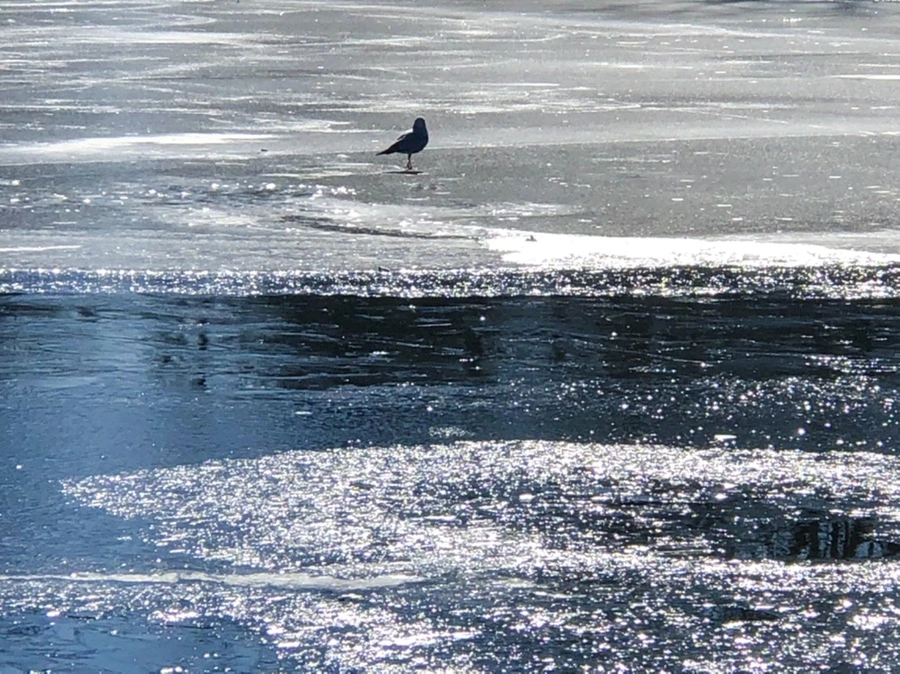 IMG_7796.jpg?type=w966