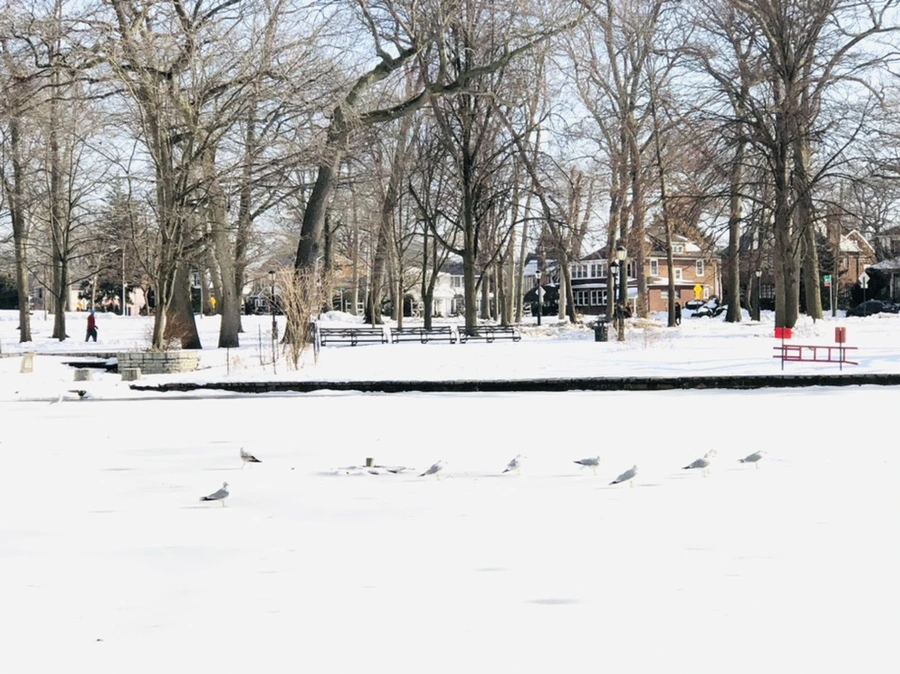 IMG_0147.jpg?type=w966