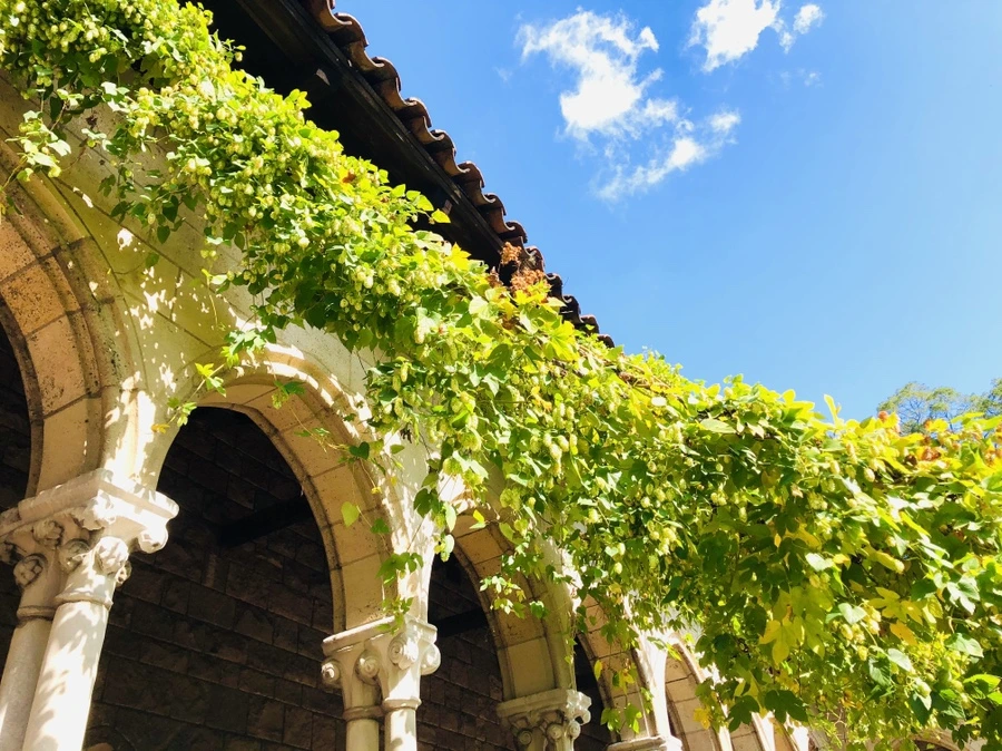 IMG_1465.jpg?type=w966