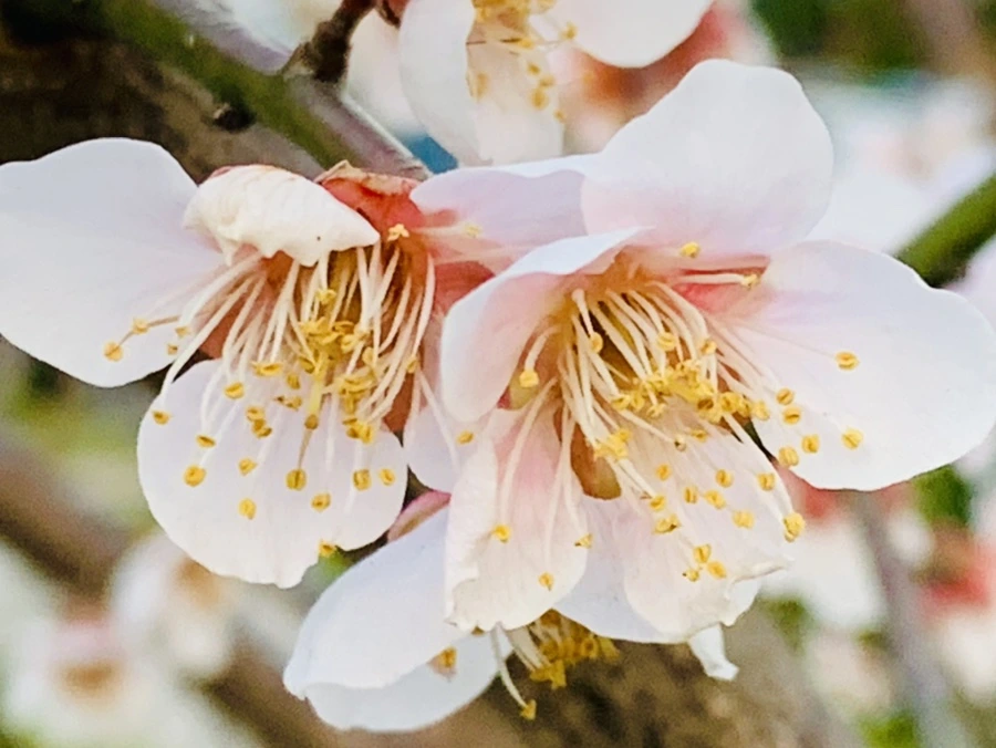 IMG_2836.jpg?type=w966