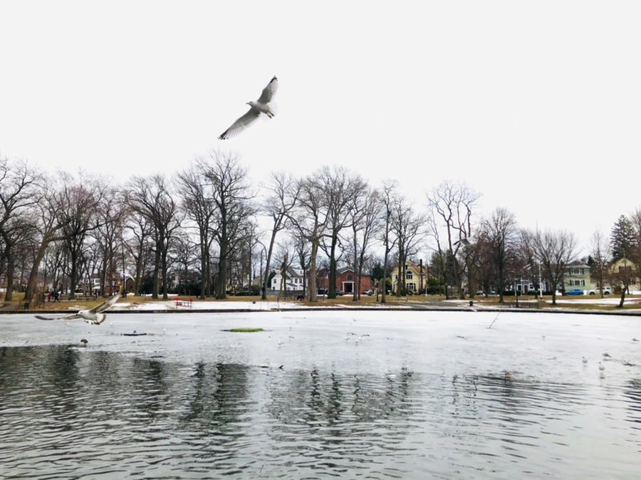 IMG_6010.jpg?type=w966