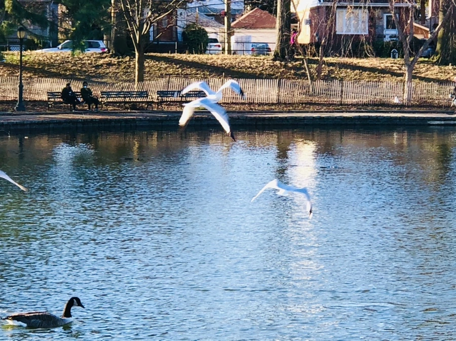 IMG_9315.jpg?type=w966