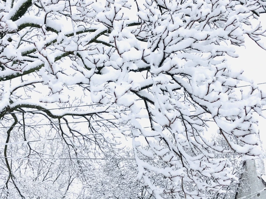 IMG_0960.jpg?type=w966