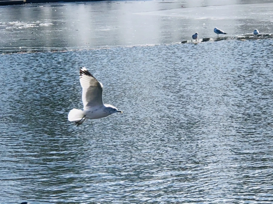 IMG_6733.jpg?type=w966