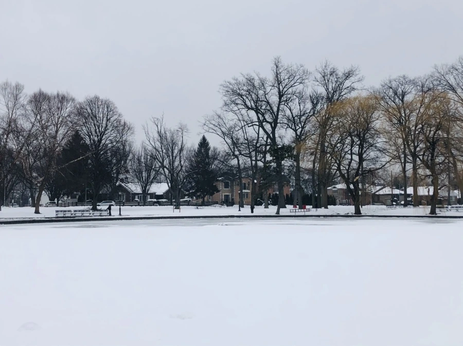 IMG_1498.jpg?type=w966