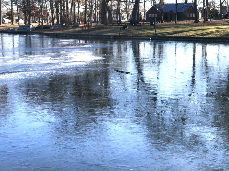 IMG_1441.jpg?type=w966