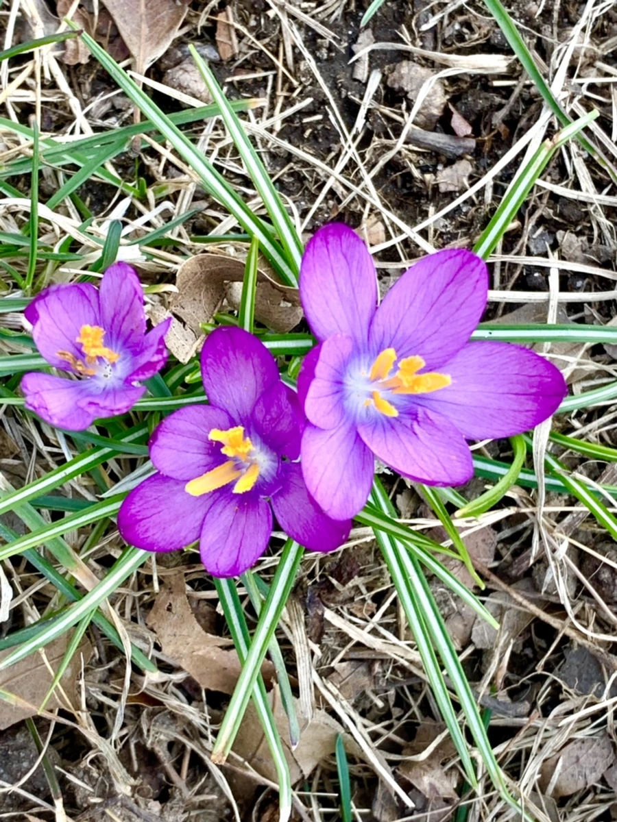 IMG_3160.jpg?type=w966