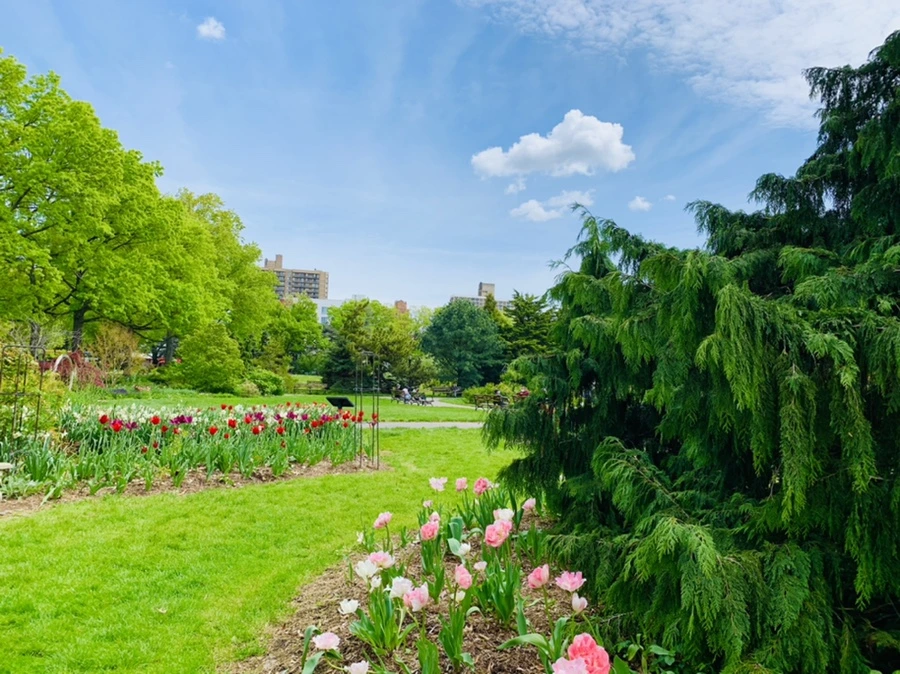 IMG_1249.jpg?type=w966