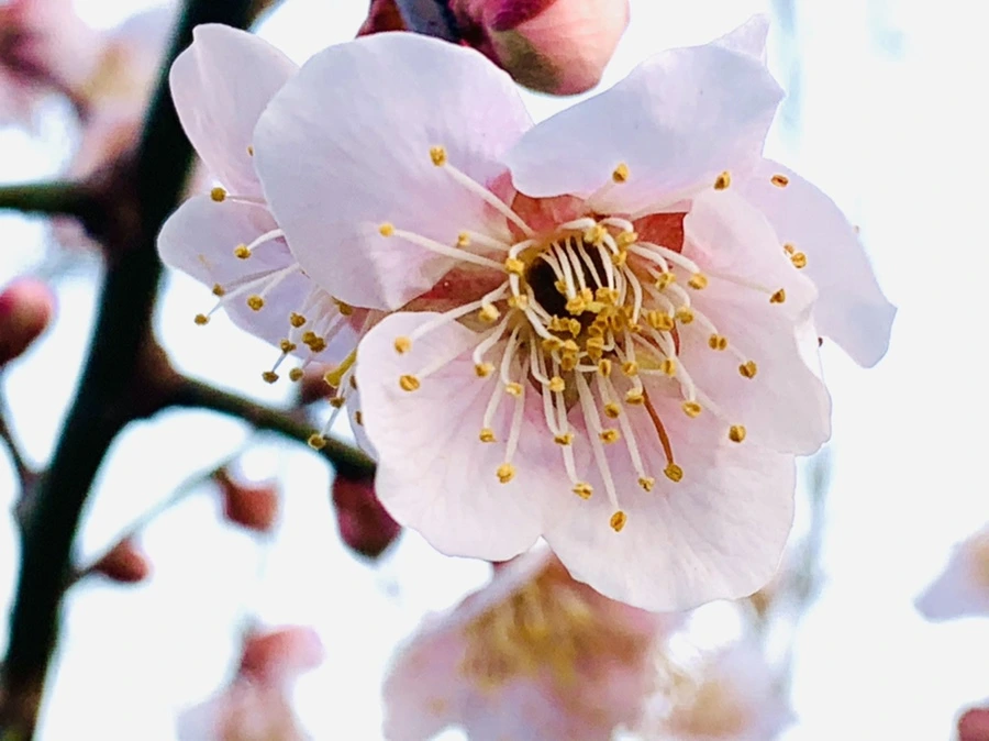 IMG_2345.jpg?type=w966