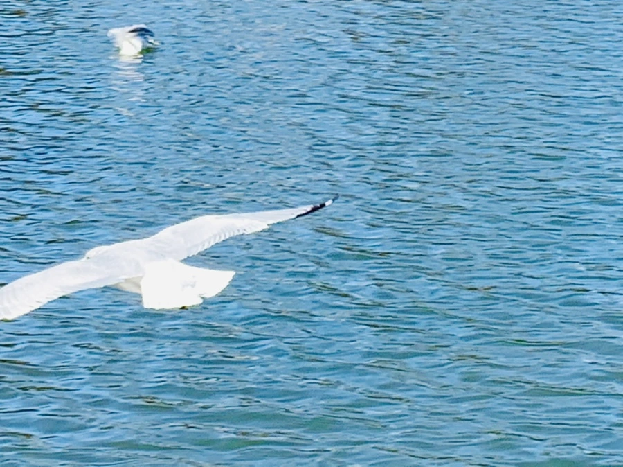 IMG_9322.jpg?type=w966