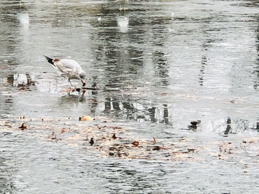 IMG_3114.jpg?type=w966