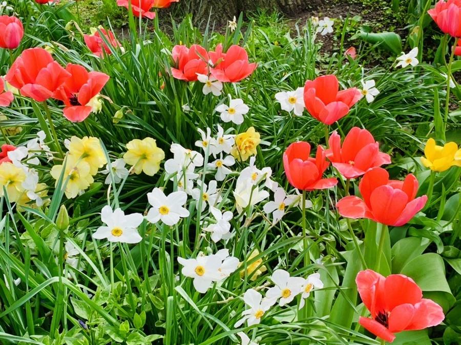 IMG_6958.jpg?type=w966