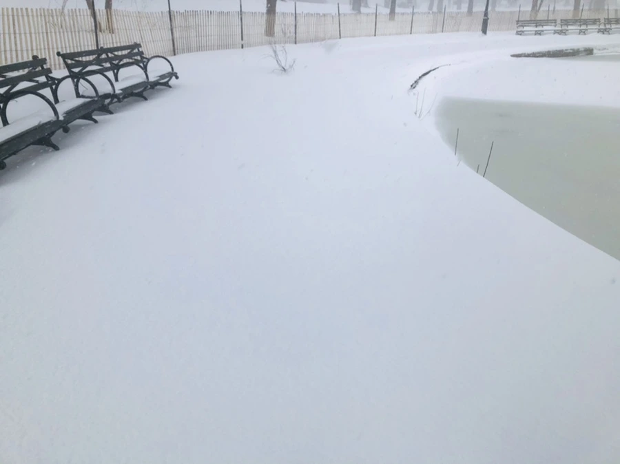 IMG_8824.jpg?type=w966